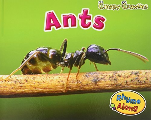 Creepy Crawlies Pack A of 4 (Early Years: Creepy Crawlies) by Rebecca Rissman