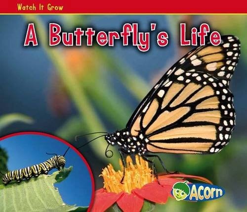 A Butterfly's Life by Nancy Dickmann