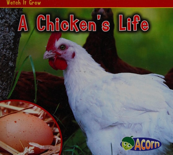A Chicken's Life by Nancy Dickmann