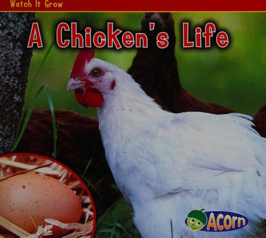 A Chicken's Life by Nancy Dickmann