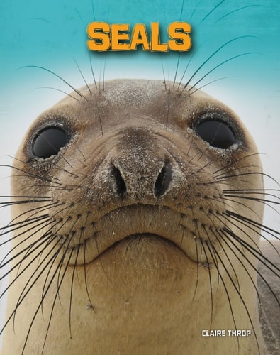 Seals by Claire Throp