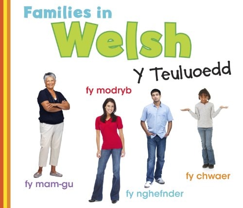 Families in Welsh Y Teuluoedd by Daniel Nunn