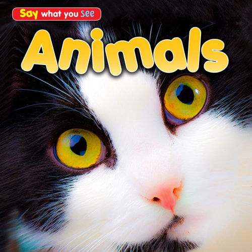 Animals (Say What You See) by Rebecca Rissman
