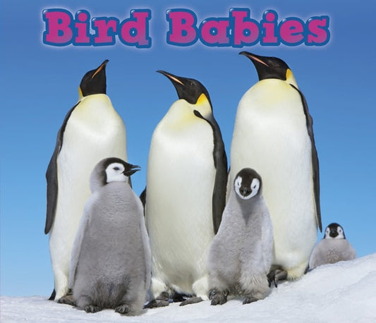 Bird Babies (Animal Babies) by Catherine Veitch