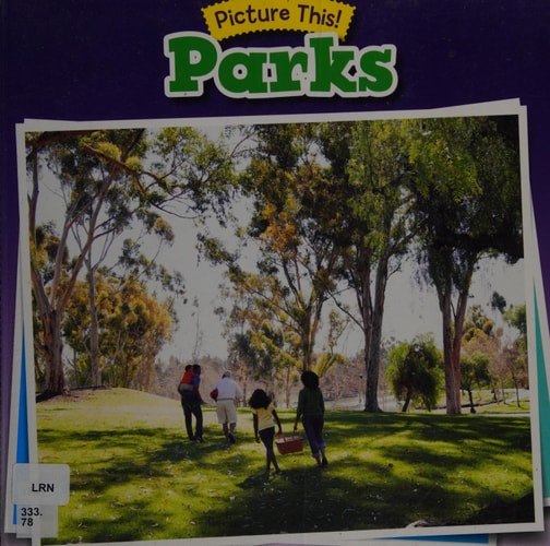 Parks (Picture This!) by Rebecca Rissman