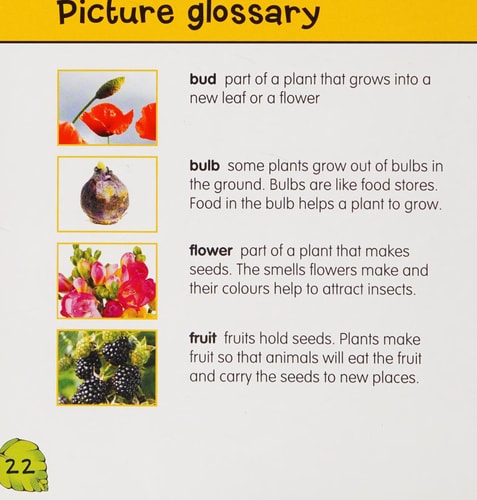 Learning about Plants (Natural World) by Catherine Veitch