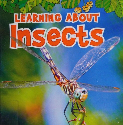 Learning about Insects by Catherine Veitch