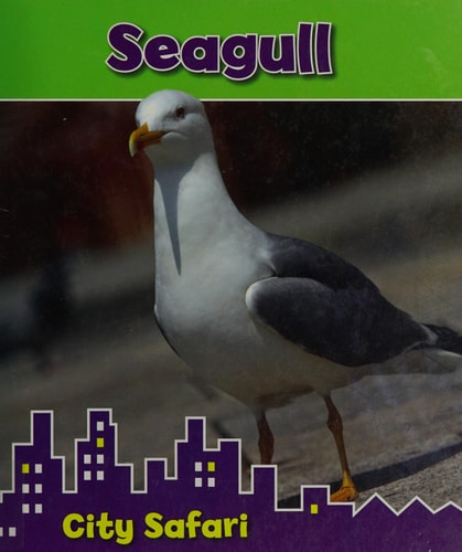Seagull (Read and Learn: City Safari) by Isabel Thomas