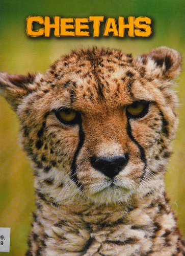 Cheetahs by Charlotte Guillain