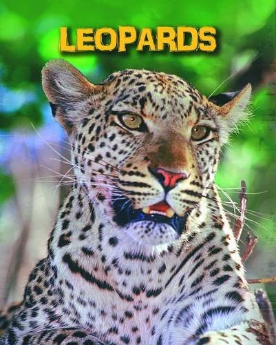 Leopards (Infosearch: Living in the Wild: Big Cats) by Throp, Claire