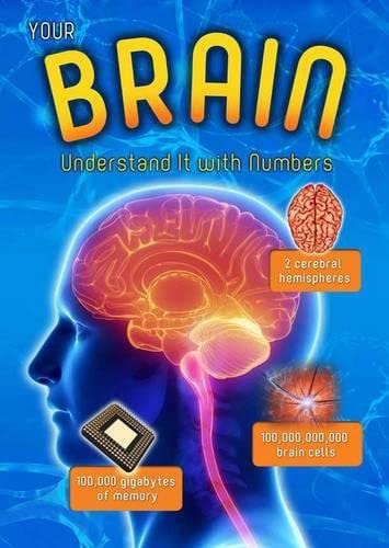 Your Brain by Melanie Waldron