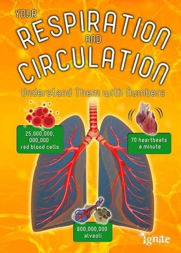 Your Respiration and Circulation (Ignite: Your Body by Numbers) by Melanie Waldron