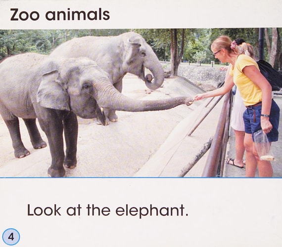 Animals at the Zoo by Sian Smith