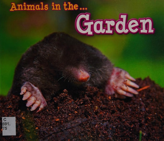 Animals in the Garden (Acorn: Animals I Can See) by Smith, Sian