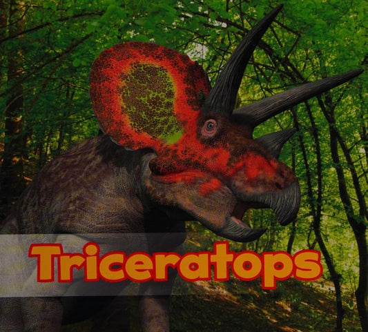 Triceratops (Acorn: All about Dinosaurs) by Daniel Nunn
