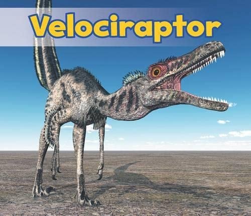 Velociraptor (Acorn: All about Dinosaurs) by Daniel Nunn