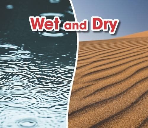 Wet and Dry (Acorn: Opposites) by Sian Smith
