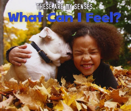 What Can I Feel? by Joanna Issa