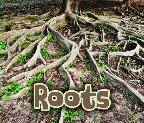 All about Roots by Claire Throp