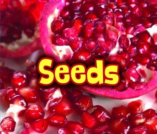 All about Seeds (Acorn: All about Plants) by Claire Throp