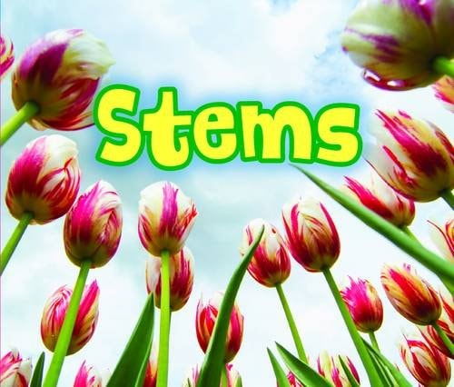 All about Stems by Claire Throp