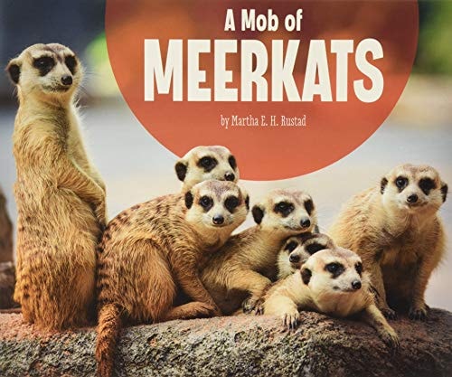 A Mob of Meerkats by Martha Elizabeth Hillman Rustad