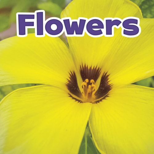 Plant Parts Flowers by Marissa Kirkman