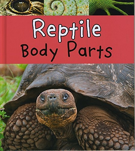 Reptile Body Parts by Clare Lewis
