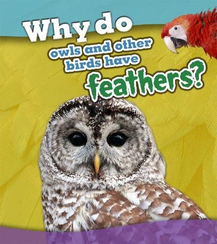 Why Do Owls and Other Birds Have Feathers? by Holly Beaumont