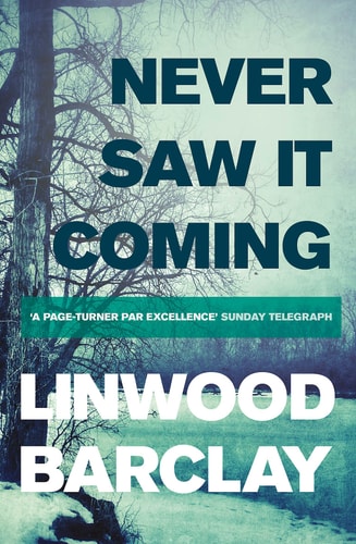 Never Saw it Coming by Linwood Barclay
