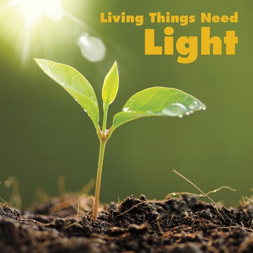 Living Things Need Light by Karen Aleo