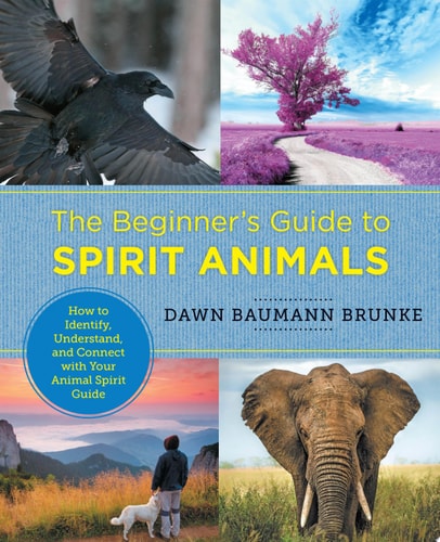The Beginner's Guide to Spirit Animals How to Identify, Understand, and Connect with Your Animal Spirit Guide by Dawn Baumann Brunke