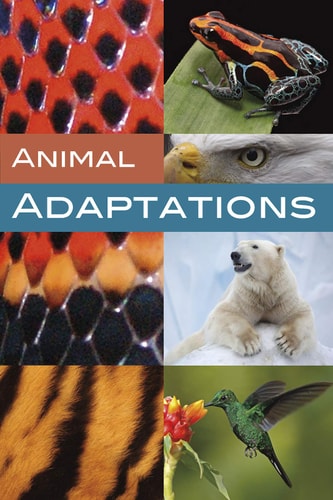 Animal Adaptations by unknown author