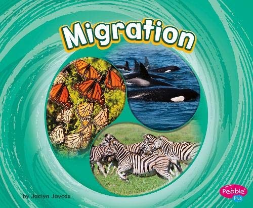 Migration by Jaclyn Jaycox