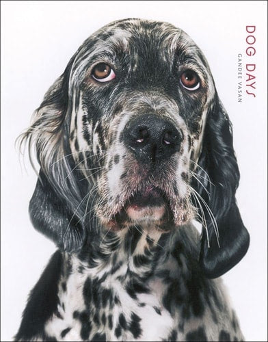 Dog Days by Gandee Vasan, Ltd. PQ Blackwell
