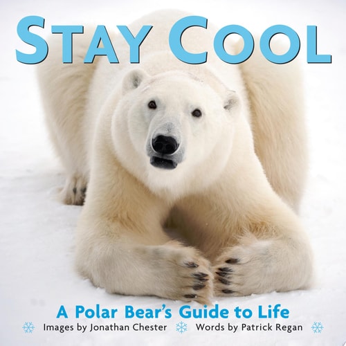STAY COOL - BOOK by Jonathan Chester