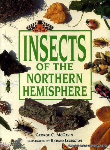 Insects of the Northern Hemisphere by George C McGavin
