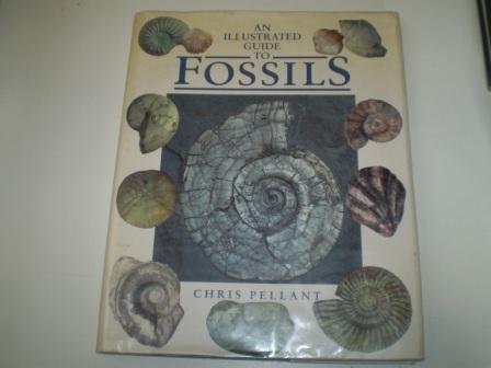 An Illustrated Guide to Fossils by Chris Pellant