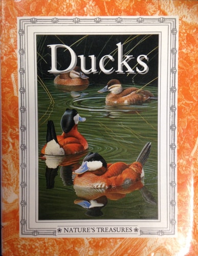 Ducks, Natures Tressures (Nature's Treasures Series) by Jeanne Griffiths