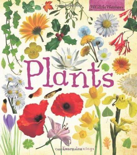 Wildlife Watchers: Plants by Terry Jennings