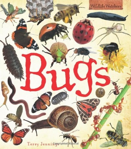 Bugs (Wildlife Watchers) by Terry Jennings