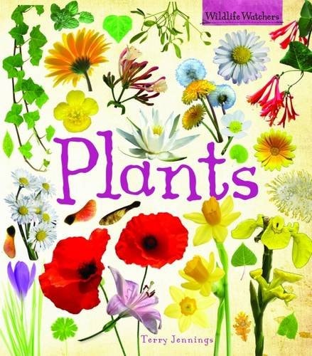 Plants (Wildlife Watchers) by jennings-terry