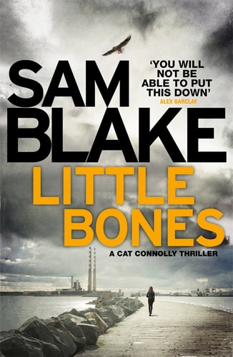 Little Bones A Disturbing Irish Crime Thriller by Sam Blake