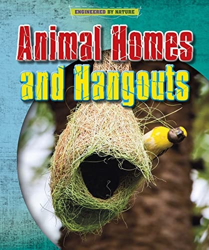 Animal Homes and Hang-outs by Louise Spilsbury, Richard Spilsbury