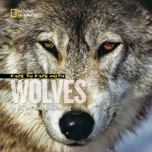 Face to Face with Wolves by Jim Brandenburg, Judy Brandenburg