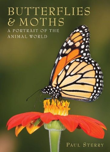 Butterflies and Moths - Pb A Portrait of the Animal World by Paul Sterry