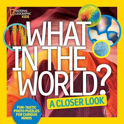 What in the World: A Closer Look: Fun-tastic Photo Puzzles for Curious Minds by National Geographic Kids