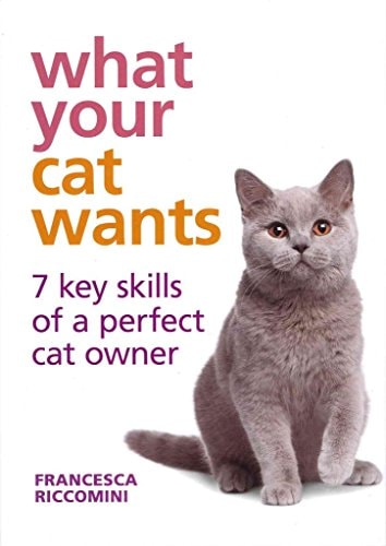 What Your Cat Wants 7 Key Skills of a Perfect Cat Owner by Francesca Riccomini