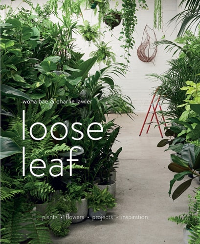Loose Leaf by Wona Bae