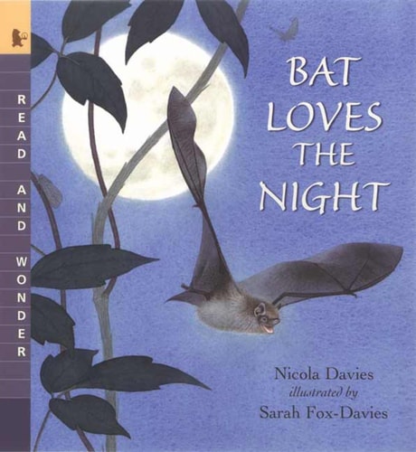 Bat Loves the Night Read and Wonder by Nicola Davies